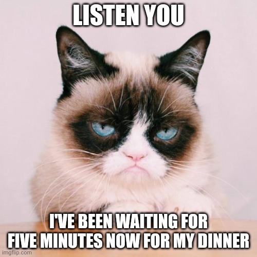 grumpy cat again |  LISTEN YOU; I'VE BEEN WAITING FOR FIVE MINUTES NOW FOR MY DINNER | image tagged in grumpy cat again | made w/ Imgflip meme maker