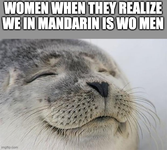 this will not go to the frontpage |  WOMEN WHEN THEY REALIZE WE IN MANDARIN IS WO MEN | image tagged in memes,satisfied seal | made w/ Imgflip meme maker