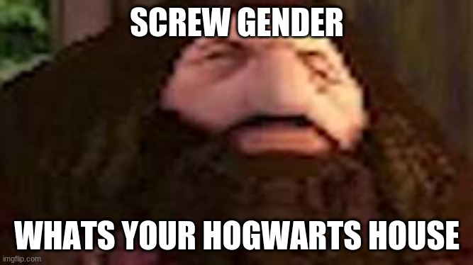 my brain is slowly decaying | SCREW GENDER; WHATS YOUR HOGWARTS HOUSE | image tagged in ps1 hagrid,help | made w/ Imgflip meme maker