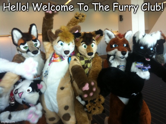 Furry Meme I Made #1 (REMAKE) | Hello! Welcome To The Furry Club! | image tagged in furries,furry,furry memes,memes,funny meme,funny memes | made w/ Imgflip meme maker