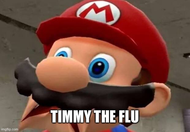 Mario WTF | TIMMY THE FLU | image tagged in mario wtf | made w/ Imgflip meme maker
