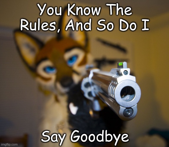 Furry Meme I Made #2 (Rick Astley Parody) | You Know The Rules, And So Do I; Say Goodbye | image tagged in furry with gun,rick astley,furry,furries,memes,funny memes | made w/ Imgflip meme maker