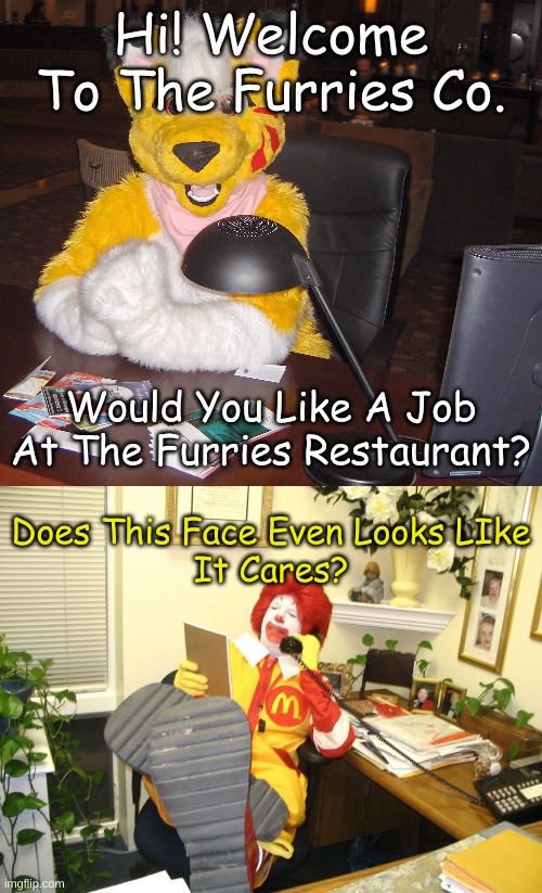 Furry Meme I Made #11 | Hi! Welcome To The Furries Co. Would You Like A Job At The Furries Restaurant? Does This Face Even Looks LIke
It Cares? | image tagged in world's most interesting furry,ronald mcdonald,furry,furries,mcdonald's,job | made w/ Imgflip meme maker