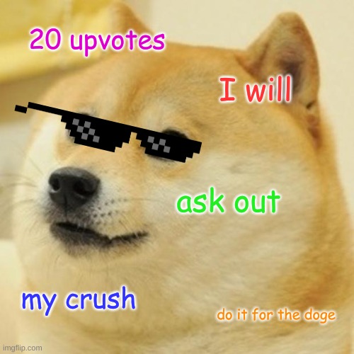 Do it for the doge | 20 upvotes; I will; ask out; my crush; do it for the doge | image tagged in memes,doge | made w/ Imgflip meme maker