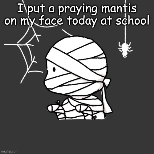 s p o o k y m o n t h | I put a praying mantis on my face today at school | image tagged in s p o o k y m o n t h | made w/ Imgflip meme maker