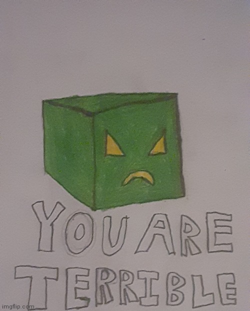 Cuben "you are terrible" | image tagged in cuben you are terrible | made w/ Imgflip meme maker