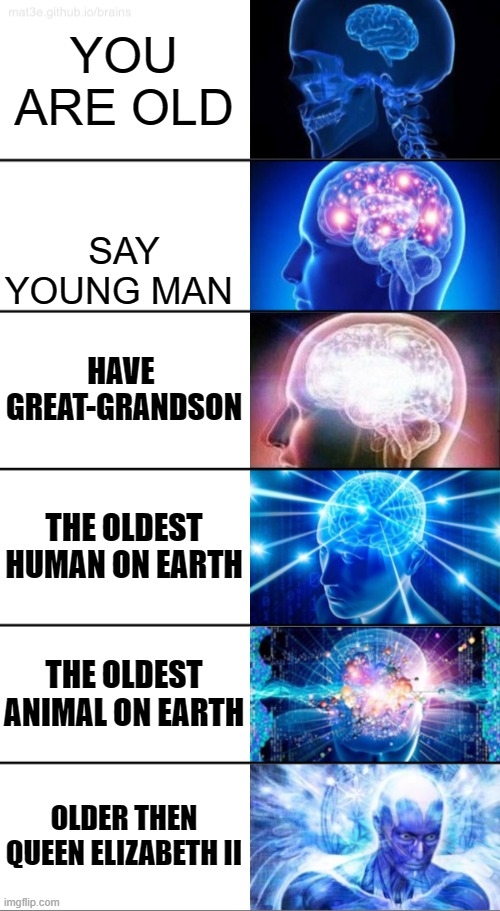 6-Tier Expanding Brain | YOU ARE OLD; SAY YOUNG MAN; HAVE 
GREAT-GRANDSON; THE OLDEST HUMAN ON EARTH; THE OLDEST ANIMAL ON EARTH; OLDER THEN QUEEN ELIZABETH II | image tagged in 6-tier expanding brain | made w/ Imgflip meme maker