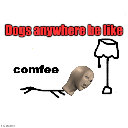 Dogs anywhere be like | image tagged in comfee | made w/ Imgflip meme maker