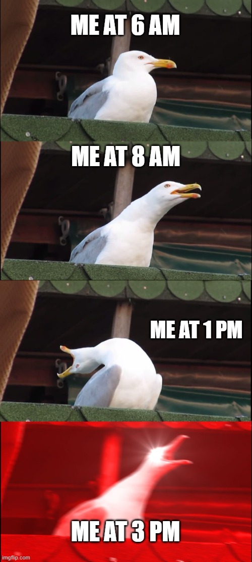 I AM ALWAYS ACTIVE IN THIS TIME | ME AT 6 AM; ME AT 8 AM; ME AT 1 PM; ME AT 3 PM | image tagged in memes,inhaling seagull | made w/ Imgflip meme maker