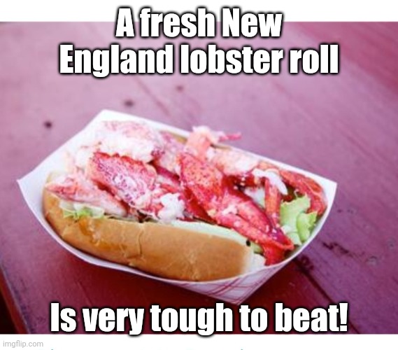 Rock Lobsta' | A fresh New England lobster roll; Is very tough to beat! | image tagged in fresh memes,lobster | made w/ Imgflip meme maker