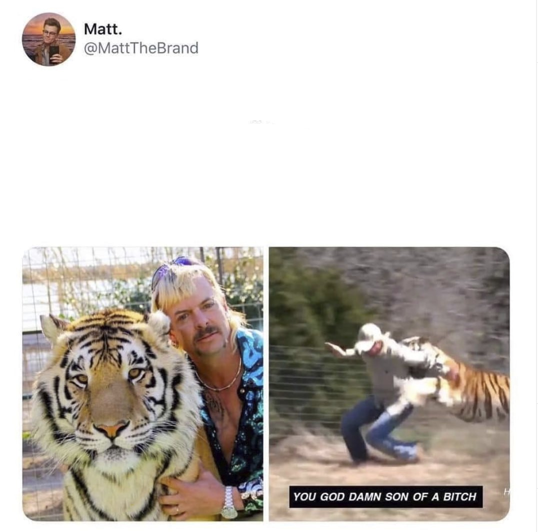 tiger king before and after Blank Meme Template