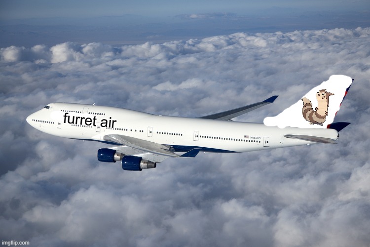 thats who banned me (sorry if i already posted this it is to make sure) | furret air | image tagged in delta boeing 747-400 | made w/ Imgflip meme maker