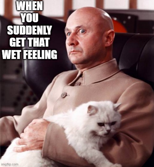 Cat Pee | WHEN YOU SUDDENLY GET THAT WET FEELING | image tagged in bond villain cat | made w/ Imgflip meme maker