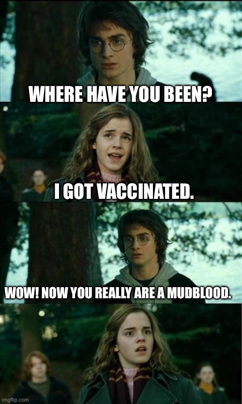 Tee hee hee! | WHERE HAVE YOU BEEN? I GOT VACCINATED. WOW! NOW YOU REALLY ARE A MUDBLOOD. | image tagged in messed up convo harry potter,kung flu,covid vaccine,funny memes,politics | made w/ Imgflip meme maker