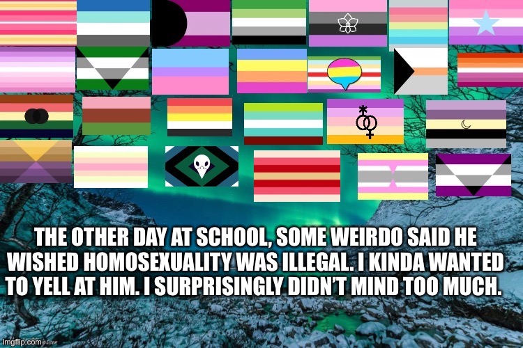 Northern Lights Announcement | THE OTHER DAY AT SCHOOL, SOME WEIRDO SAID HE WISHED HOMOSEXUALITY WAS ILLEGAL. I KINDA WANTED TO YELL AT HIM. I SURPRISINGLY DIDN’T MIND TOO MUCH. | image tagged in northern lights announcement | made w/ Imgflip meme maker