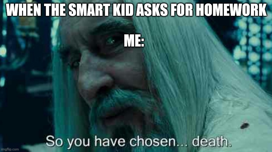 So you have chosen death | WHEN THE SMART KID ASKS FOR HOMEWORK; ME: | image tagged in so you have chosen death | made w/ Imgflip meme maker