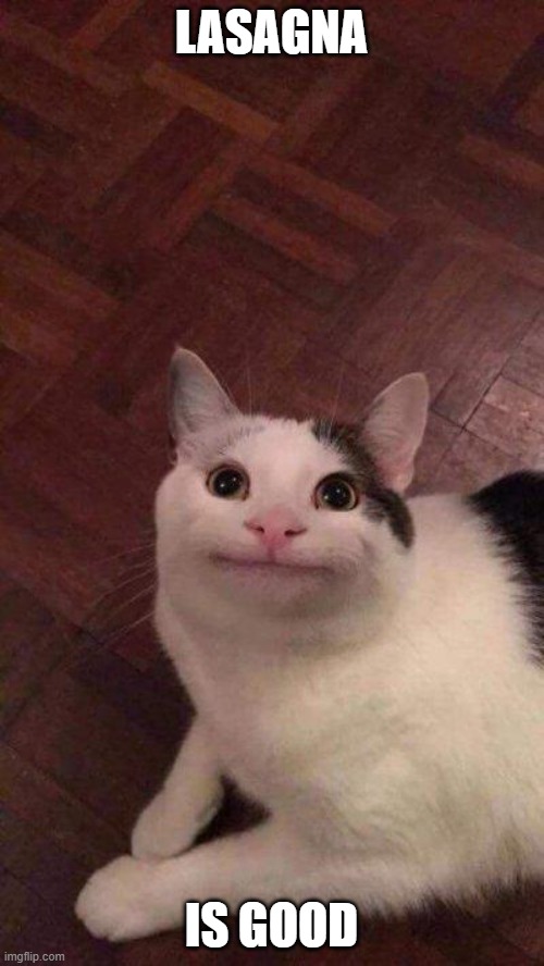 Polite cat | LASAGNA IS GOOD | image tagged in polite cat | made w/ Imgflip meme maker