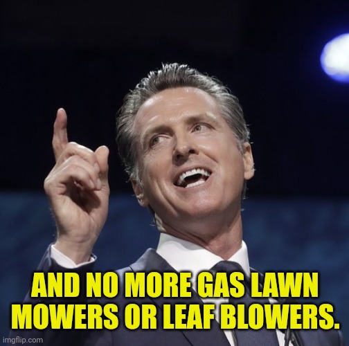 Gavin newsom | AND NO MORE GAS LAWN MOWERS OR LEAF BLOWERS. | image tagged in gavin newsom | made w/ Imgflip meme maker