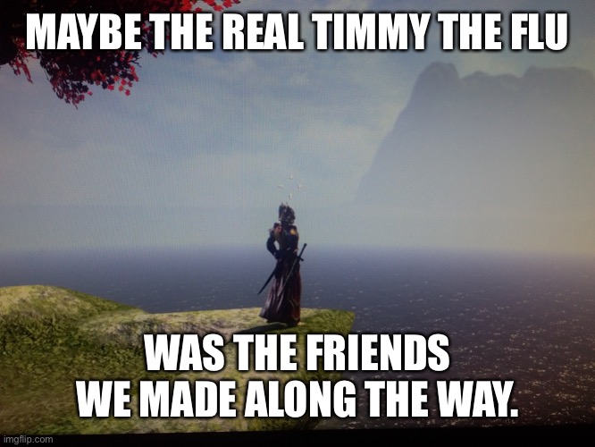 Only a few will get this | MAYBE THE REAL TIMMY THE FLU; WAS THE FRIENDS WE MADE ALONG THE WAY. | image tagged in maybe the real treasure | made w/ Imgflip meme maker