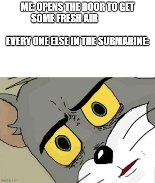 insert-creative-title-here |  ME: OPENS THE DOOR TO GET SOME FRESH AIR                                               
EVERY ONE ELSE IN THE SUBMARINE: | image tagged in unsettled tom,what,idk | made w/ Imgflip meme maker