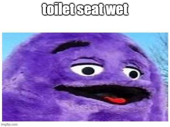 wet toilet seat |  toilet seat wet | image tagged in grimacing grimace | made w/ Imgflip meme maker