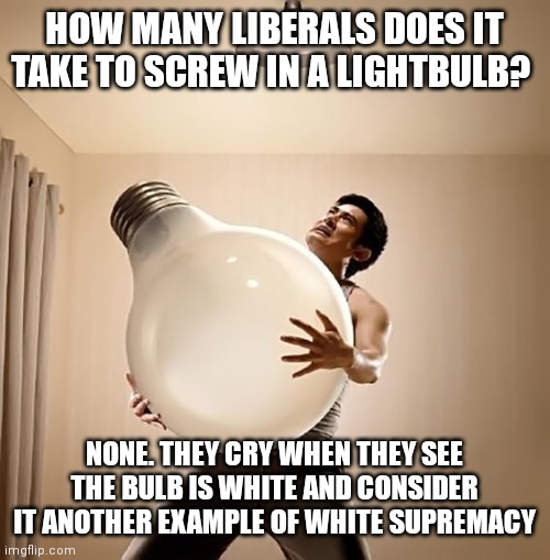 Lightbulb | HOW MANY LIBERALS DOES IT TAKE TO SCREW IN A LIGHTBULB? NONE. THEY CRY WHEN THEY SEE THE BULB IS WHITE AND CONSIDER IT ANOTHER EXAMPLE OF WH | image tagged in lightbulb | made w/ Imgflip meme maker