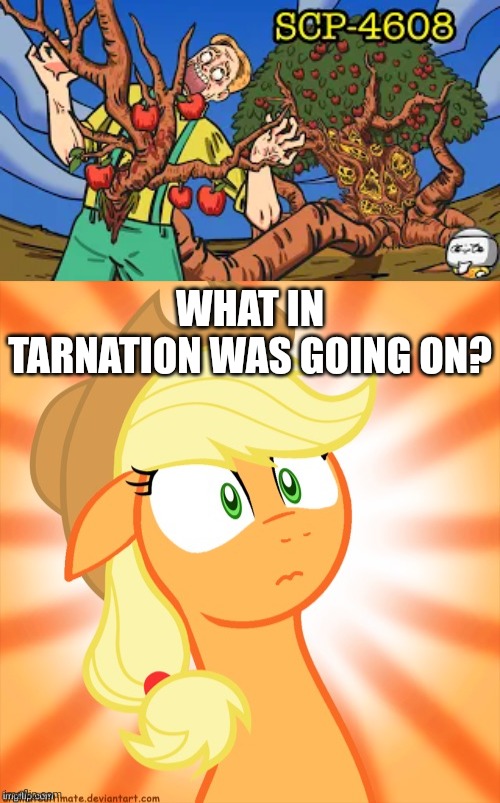 Apple seed :) | WHAT IN TARNATION WAS GOING ON? | image tagged in shocked applejack | made w/ Imgflip meme maker