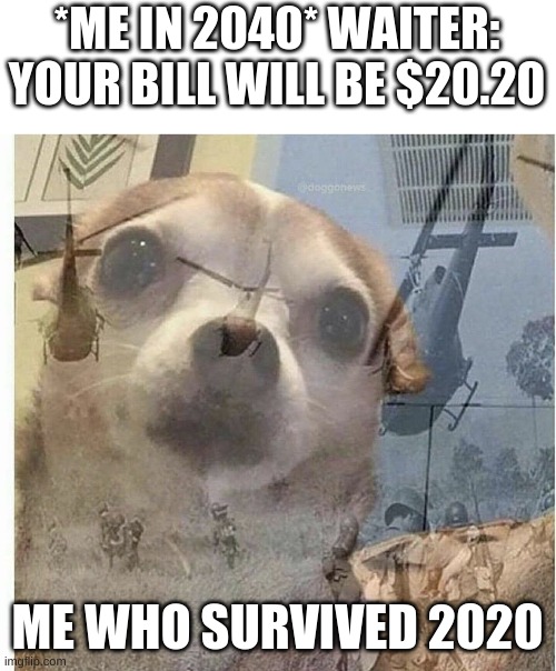 legit all of us | *ME IN 2040* WAITER: YOUR BILL WILL BE $20.20; ME WHO SURVIVED 2020 | image tagged in ptsd chihuahua,2020 sucked | made w/ Imgflip meme maker