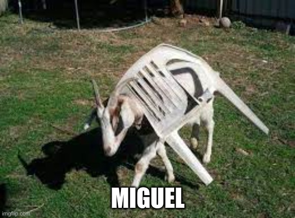 Miguel | MIGUEL | image tagged in funny memes | made w/ Imgflip meme maker