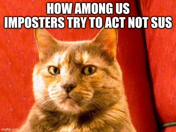 Suspicious Cat Meme | HOW AMONG US IMPOSTERS TRY TO ACT NOT SUS | image tagged in memes,suspicious cat | made w/ Imgflip meme maker