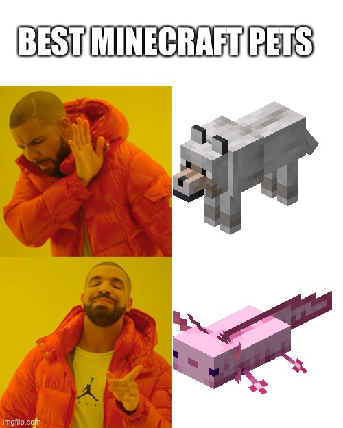 Best Minecraft Pets | BEST MINECRAFT PETS | image tagged in memes,drake hotline bling | made w/ Imgflip meme maker