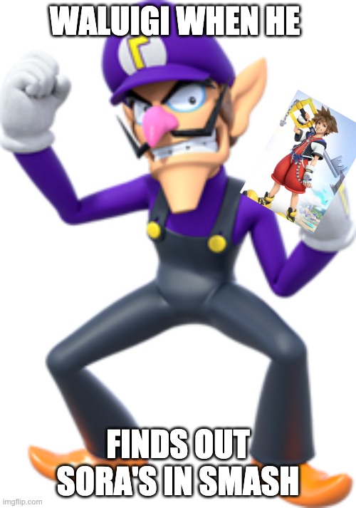 Walugi finds out Sora's in Smash | WALUIGI WHEN HE; FINDS OUT SORA'S IN SMASH | image tagged in super smash bros | made w/ Imgflip meme maker