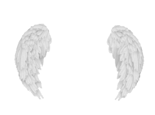 High Quality angel wings Blank Meme Template