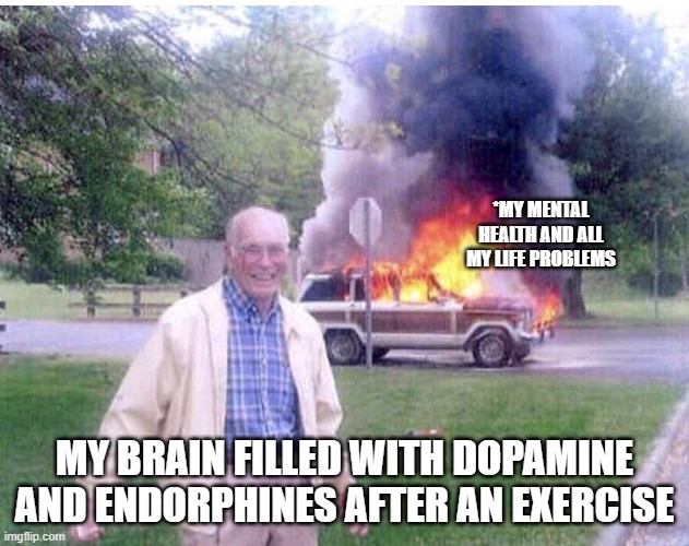 MindX mental health | *MY MENTAL HEALTH AND ALL MY LIFE PROBLEMS; MY BRAIN FILLED WITH DOPAMINE AND ENDORPHINES AFTER AN EXERCISE | image tagged in memes | made w/ Imgflip meme maker