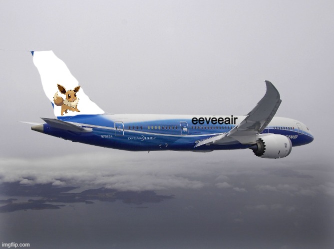 furret airs sister airline eeveeair | eeveeair | image tagged in boeing 787 | made w/ Imgflip meme maker