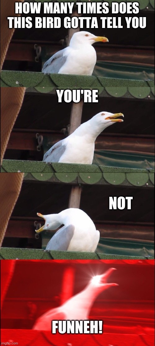 Inhaling Seagull | HOW MANY TIMES DOES THIS BIRD GOTTA TELL YOU; YOU'RE; NOT; FUNNEH! | image tagged in memes,inhaling seagull | made w/ Imgflip meme maker