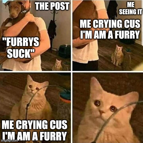 Sad Cat Holding Dog | THE POST "FURRYS SUCK" ME SEEING IT ME CRYING CUS I'M AM A FURRY ME CRYING CUS I'M AM A FURRY | image tagged in sad cat holding dog | made w/ Imgflip meme maker