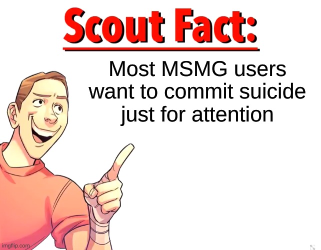 Scout Fact | Most MSMG users want to commit suicide just for attention | image tagged in scout fact | made w/ Imgflip meme maker