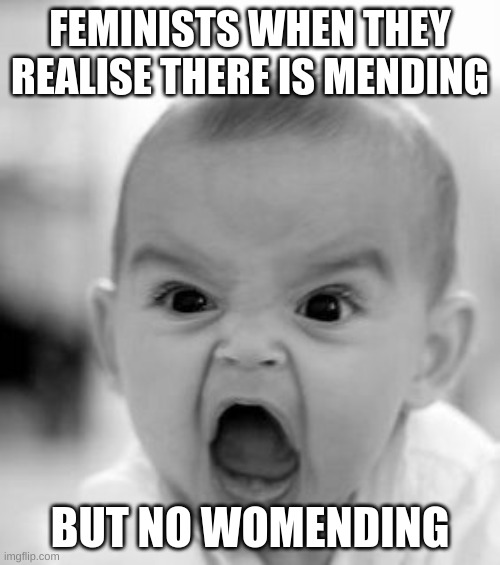 feminist meme again | FEMINISTS WHEN THEY REALISE THERE IS MENDING; BUT NO WOMENDING | image tagged in memes,angry baby | made w/ Imgflip meme maker