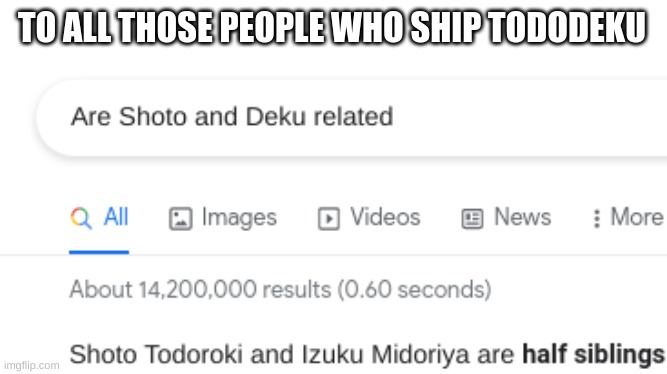 STOP SHIPPING THEM | TO ALL THOSE PEOPLE WHO SHIP TODODEKU | image tagged in stop shipping them,shoto and deu are related | made w/ Imgflip meme maker