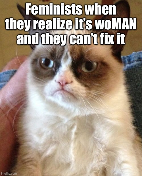 Grumpy Cat | Feminists when they realize it’s woMAN and they can’t fix it | image tagged in memes,grumpy cat | made w/ Imgflip meme maker