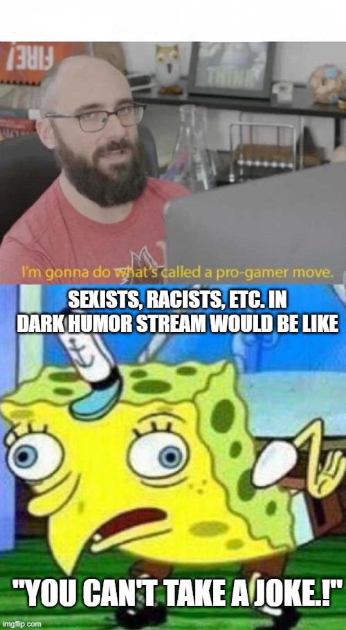 "YOU CAN'T TAKE A JOKE.!" SEXISTS, RACISTS, ETC. IN DARK HUMOR STREAM WOULD BE LIKE | image tagged in pro gamer move,triggerpaul | made w/ Imgflip meme maker