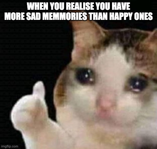Ohno | WHEN YOU REALISE YOU HAVE MORE SAD MEMMORIES THAN HAPPY ONES | image tagged in sad thumbs up cat | made w/ Imgflip meme maker