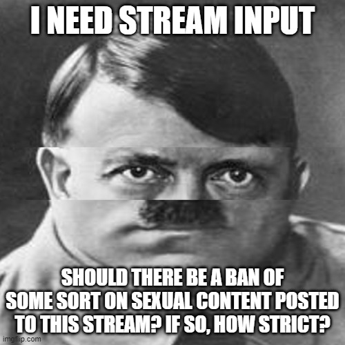 Put your arguments in the comments, please share this link with others in the stream | I NEED STREAM INPUT; SHOULD THERE BE A BAN OF SOME SORT ON SEXUAL CONTENT POSTED TO THIS STREAM? IF SO, HOW STRICT? | image tagged in squished hitler | made w/ Imgflip meme maker