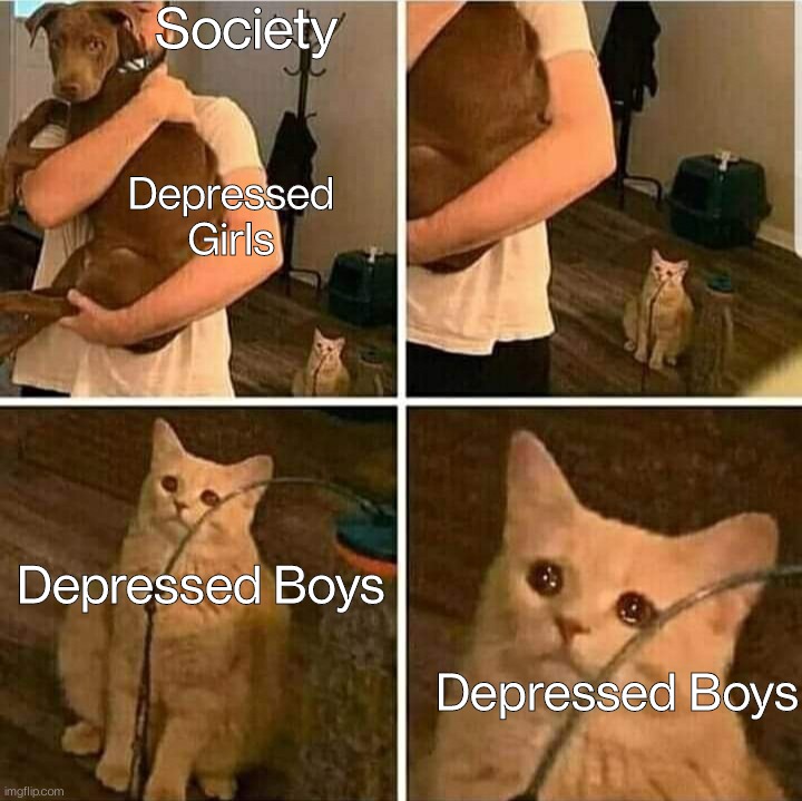 The Society | Society; Depressed Girls; Depressed Boys; Depressed Boys | image tagged in sad cat holding dog,cats,funny,memes,depressed | made w/ Imgflip meme maker