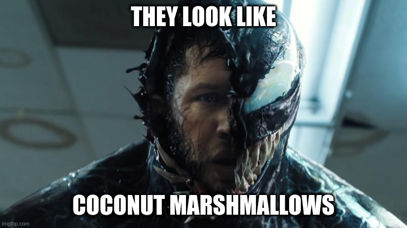 we are venom | THEY LOOK LIKE COCONUT MARSHMALLOWS | image tagged in we are venom | made w/ Imgflip meme maker