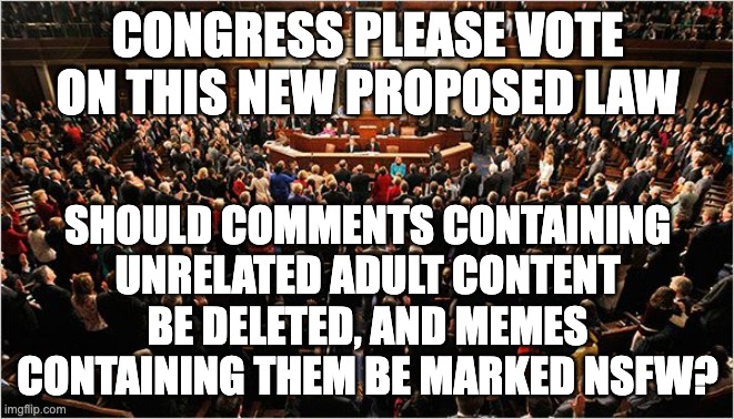 This only needs a normal 8 vote majority. | CONGRESS PLEASE VOTE ON THIS NEW PROPOSED LAW; SHOULD COMMENTS CONTAINING UNRELATED ADULT CONTENT BE DELETED, AND MEMES CONTAINING THEM BE MARKED NSFW? | image tagged in congress,unfunny | made w/ Imgflip meme maker