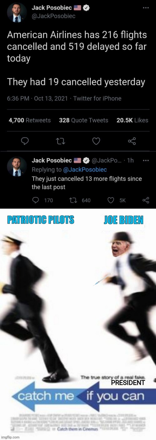 American Pilots Catch Them If You Can | PRESIDENT | image tagged in leonardo dicaprio,joe biden,vaccines,vaccination,pilot,patriotism | made w/ Imgflip meme maker