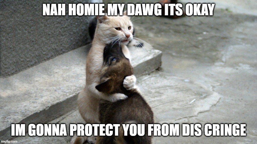 cat and dog | NAH HOMIE MY DAWG ITS OKAY IM GONNA PROTECT YOU FROM DIS CRINGE | image tagged in cat and dog | made w/ Imgflip meme maker