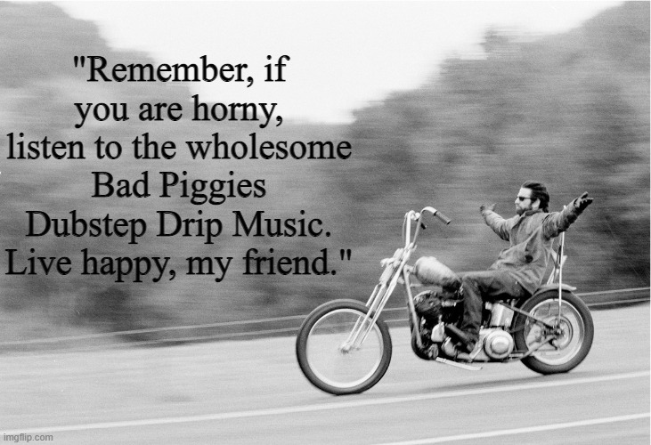 Freedom biker | "Remember, if you are horny, listen to the wholesome Bad Piggies Dubstep Drip Music. Live happy, my friend." | image tagged in freedom biker | made w/ Imgflip meme maker